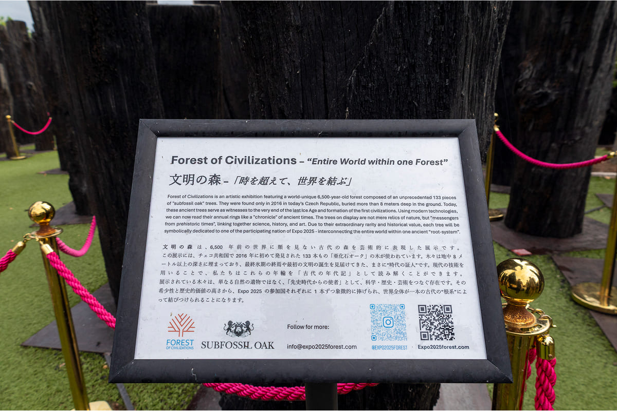 【非売品】EXPO2025✨文明の森・THE STORY OF A TREE✨ A Tree for Pakistan at the Forest of Civilizations – Pakistan Pavilion